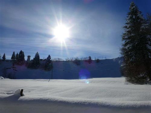 Ferieleilighet - 3 personer -  - Tannen - 6952 - Hittisau
