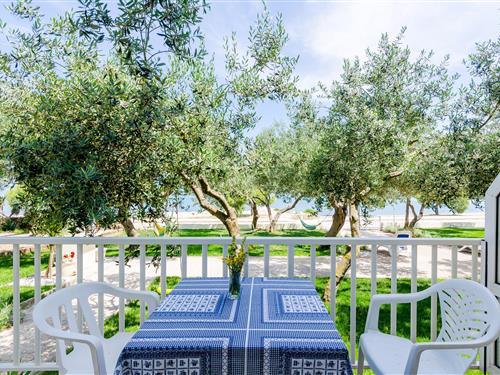 Holiday apartment - 5 persons -  - Drace - 20246 - Drace