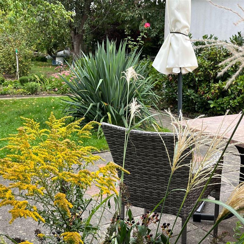 Sommerhus - 2 personer -  - Mühlenstrasse - 23974 - Niendorf