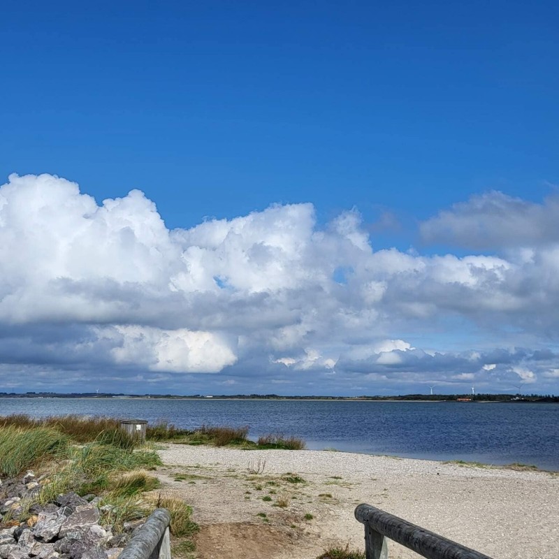 Ferienhaus - 8 Personen -  - Strandlyst - Handbjerg - 7830 - Vinderup