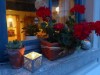 Bilde 28