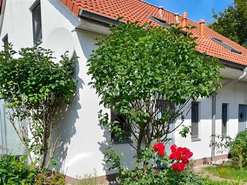 Holiday Home/Apartment - 5 persons -  - Leuchtturmstraße - 18230 - Rerik