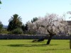 Bilde 24