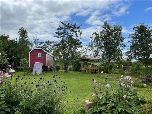  - 2 personer -  - Gangerschildstraße - 24392 - Wagersrott