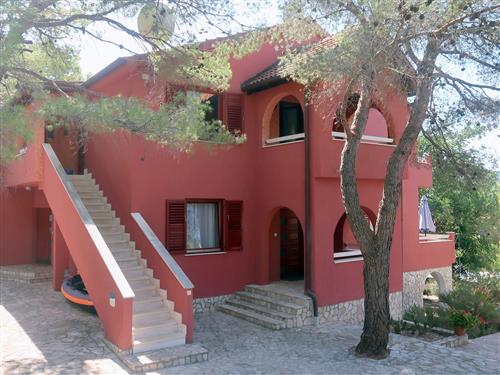 Holiday apartment - 5 persons -  - Lovište - 20269 - Loviste