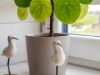 Bild 10