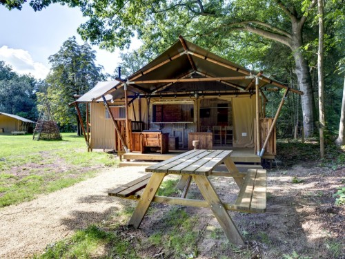Tent lodge - 5 persons -  - 7722SE - Dalfsen