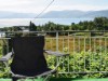 Bild 16 - Aussen