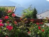 Bild 63