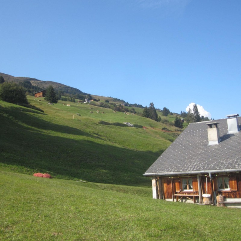 Sommerhus - 6 personer -  - 7424 - Dalin