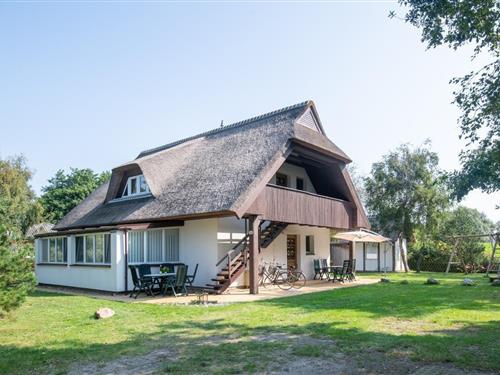 Holiday Home/Apartment - 4 persons -  - An der Düne - 18347 - Dierhagen Strand