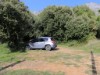Billede 12