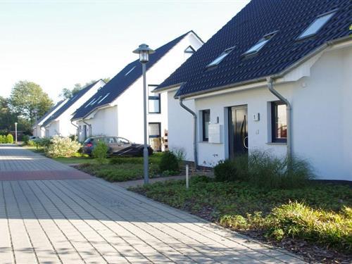 Sommerhus - 4 personer -  - 17454 - Zinnowitz