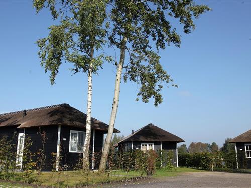 Sommerhus - 6 personer -  - 7645AM - Hoge Hexel