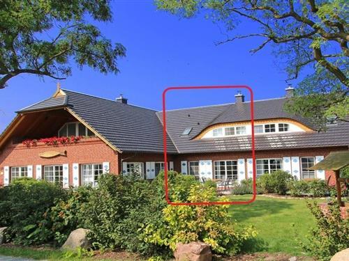 Sommerhus - 6 personer -  - 18586 - Middelhagen