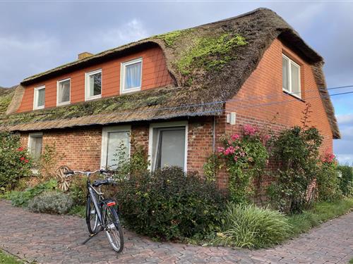 Feriehus - 3 personer -  - 25849 - Pellworm