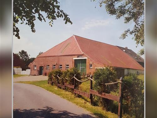 Ferieleilighet - 2 personer -  - Nordwerdum - 26427 - Werdum