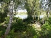 Billede 15 - Ude