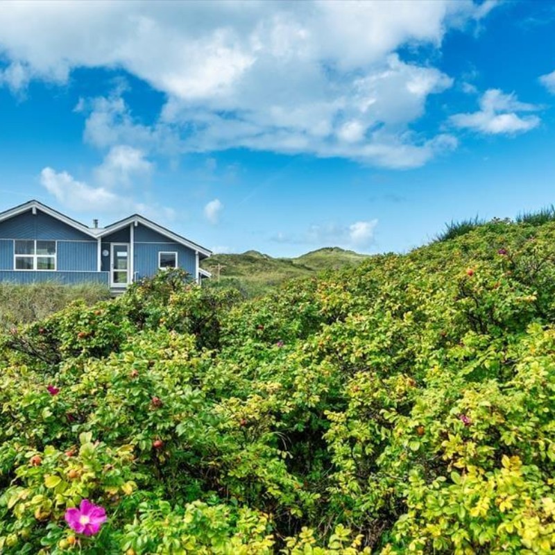 Ferienhaus - 8 Personen -  - Bjærgevej - Vejers Strand Og By - 6853 - Vejers Strand