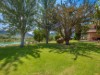 Billede 38