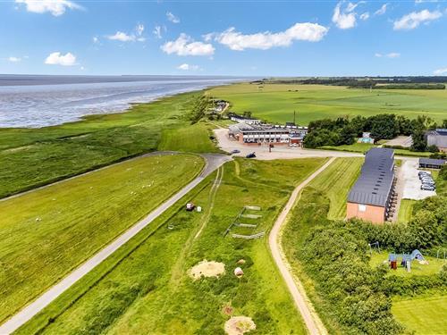 Ferienhaus - 4 Personen -  - Vadehavsvej - 6280 - Höjer