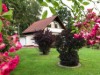 Bild 10