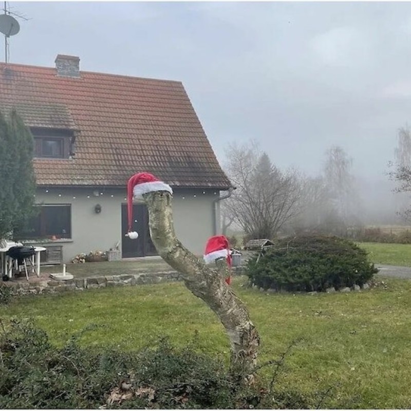 Sommerhus - 5 personer -  - 14550 - Groß Kreutz