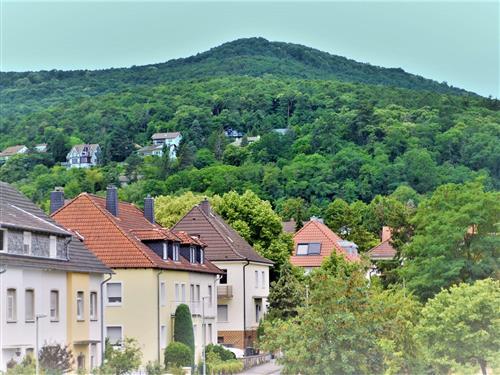 Semesterhus/Semesterlägenhet - 6 personer -  - Hambacher Straße - 67434 - Neustadt An Der Weinstraß