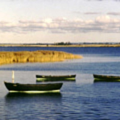 Billede 3