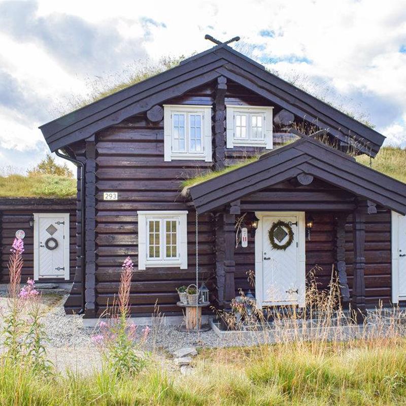 Sommerhus - 8 personer -  - Flotubuveien - 3864 - Rauland