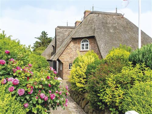 Sommerhus - 4 personer -  - Arnikaweg - 25999 - Kampen Auf Sylt