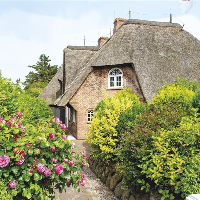 Sommerhus - 4 personer -  - Arnikaweg - 25999 - Kampen Auf Sylt