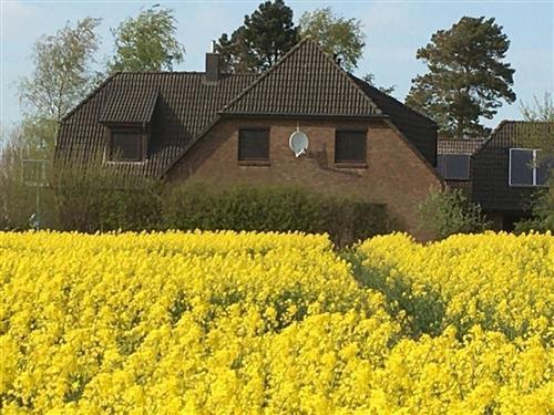 Ferielejlighed - 2 personer -  - Brebelholz - 24392 - Brebel