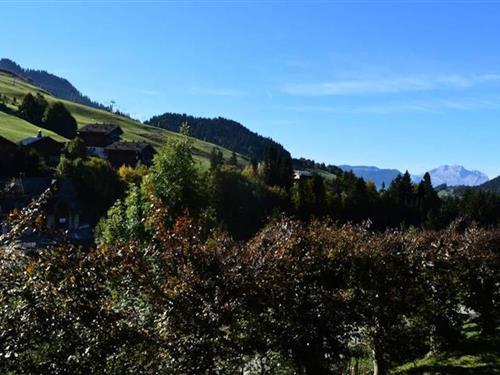 Feriehus / leilighet - 5 personer -  - 74450 - Le Grand Bornand