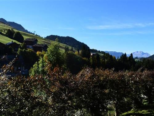 Feriehus / leilighet - 5 personer -  - 74450 - Le Grand Bornand