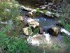 Bilde 6