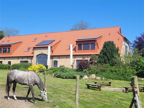 Ferienhaus - 6 Personen -  - Putbus OT Altkamp - 18581 - Putbus