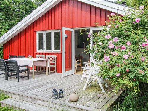 Vakantiehuis - 5 personen -  - Fasanvej - Maarup - 8305 - Samsø