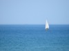 Bilde 6