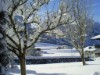 Image 33 - Outside