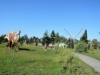 Bild 18