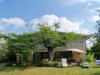Billede 21