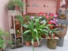 Bild 44