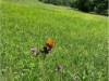 Bild 18