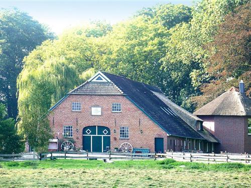 Ferielejlighed - 4 personer -  - 26936 - Süderschwei