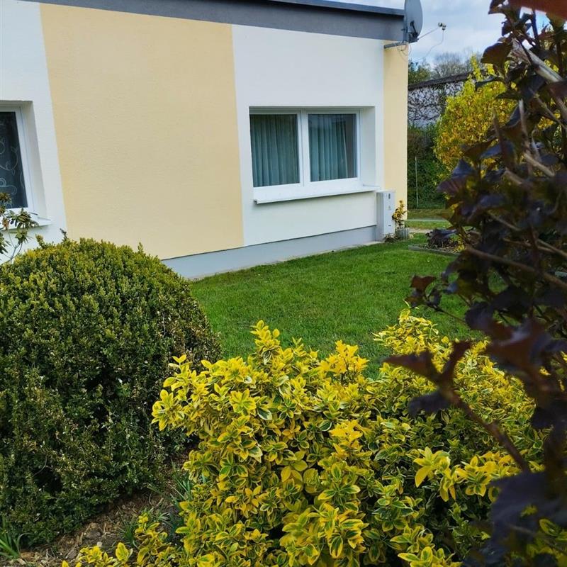 Bungalow - 4 personer -  - Altenhimmelstraße - 95496 - Glashütten