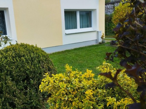 Bungalow - 4 personer -  - Altenhimmelstraße - 95496 - Glashütten