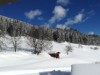 Bilde 9