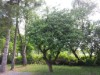Image 12 - Outside