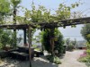 Image 29 - Outside